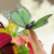 Набор 3D стикеров "Бабочки зеленые", 12 шт