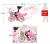 Набор виниловых наклеек "Девушка на цветочном велосипеде"