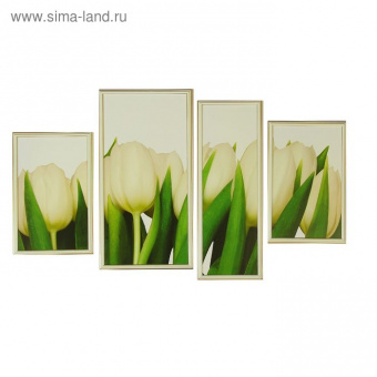 Модульная картина в раме "Белые тюльпаны"